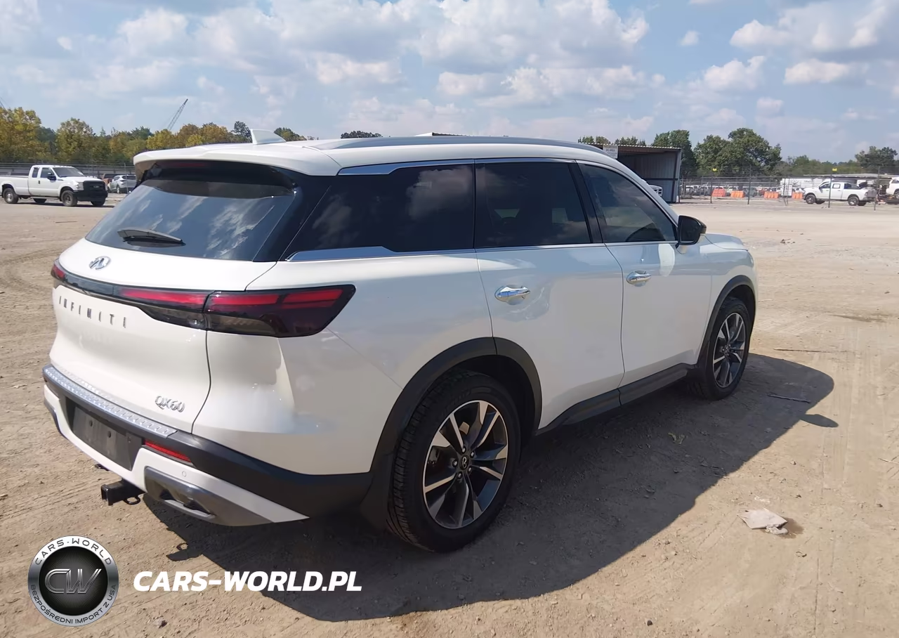 2022 Infiniti Qx60 Luxe VIN:5N1DL1FR5NC338077 - 4
