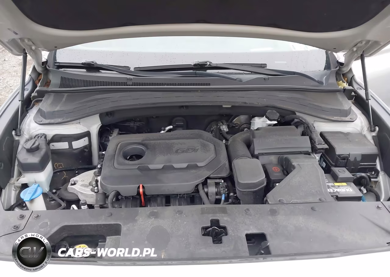 2020 Hyundai Santa Fe Limited VIN:5NMS5CAD2LH187291 - 10