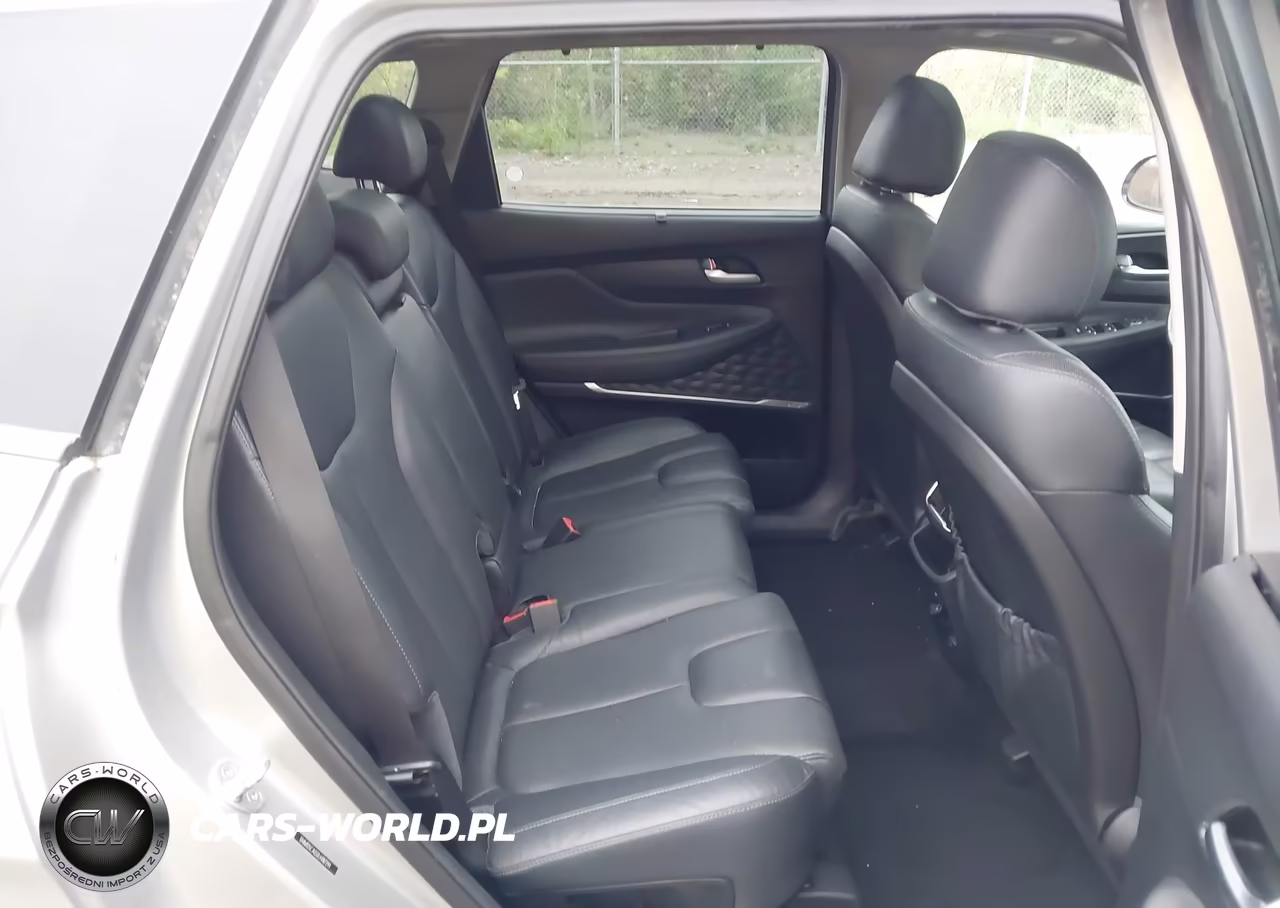 2020 Hyundai Santa Fe Limited VIN:5NMS5CAD2LH187291 - 8