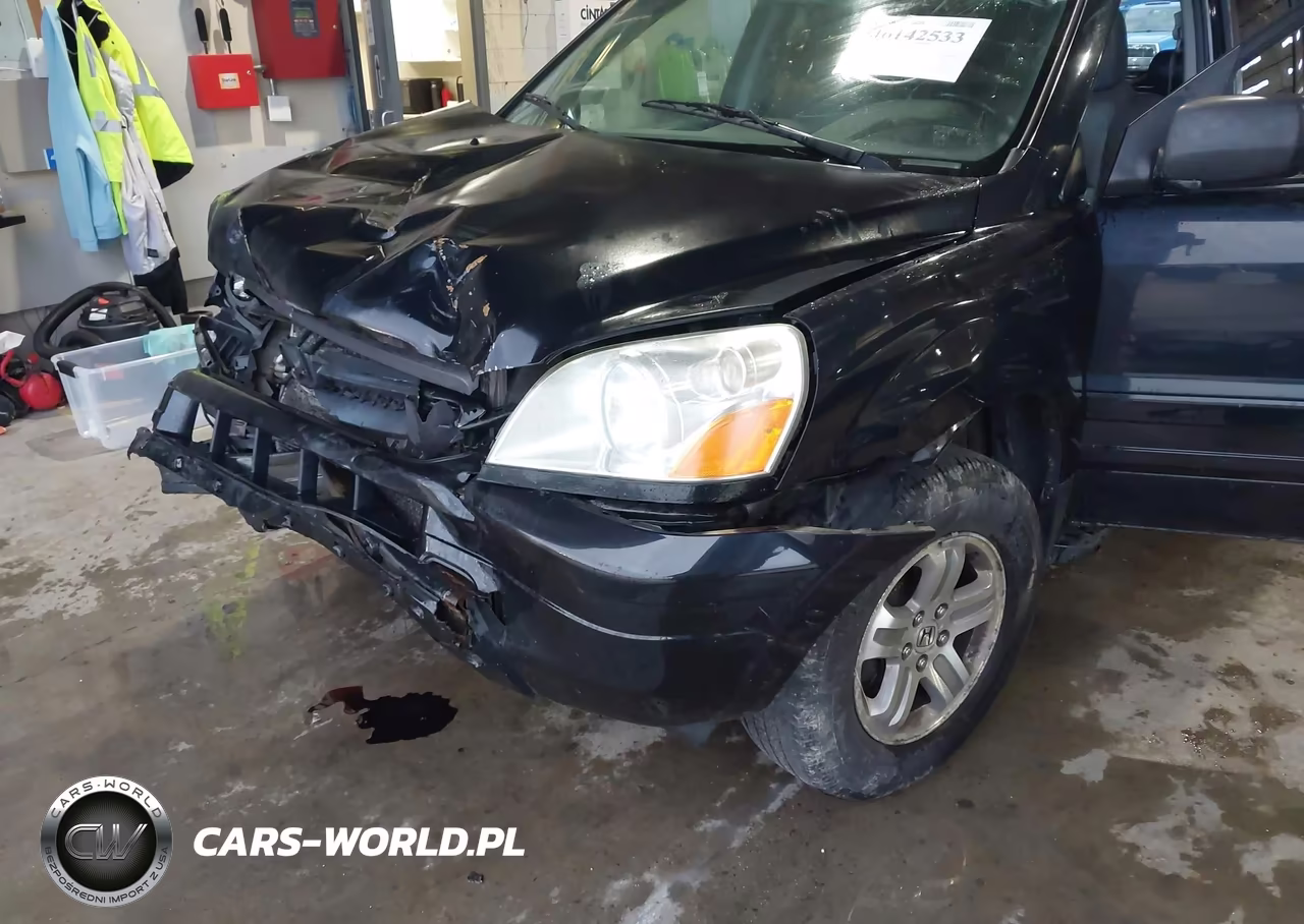 2005 Honda Pilot Ex-L VIN:2HKYF18665H558297 - 6