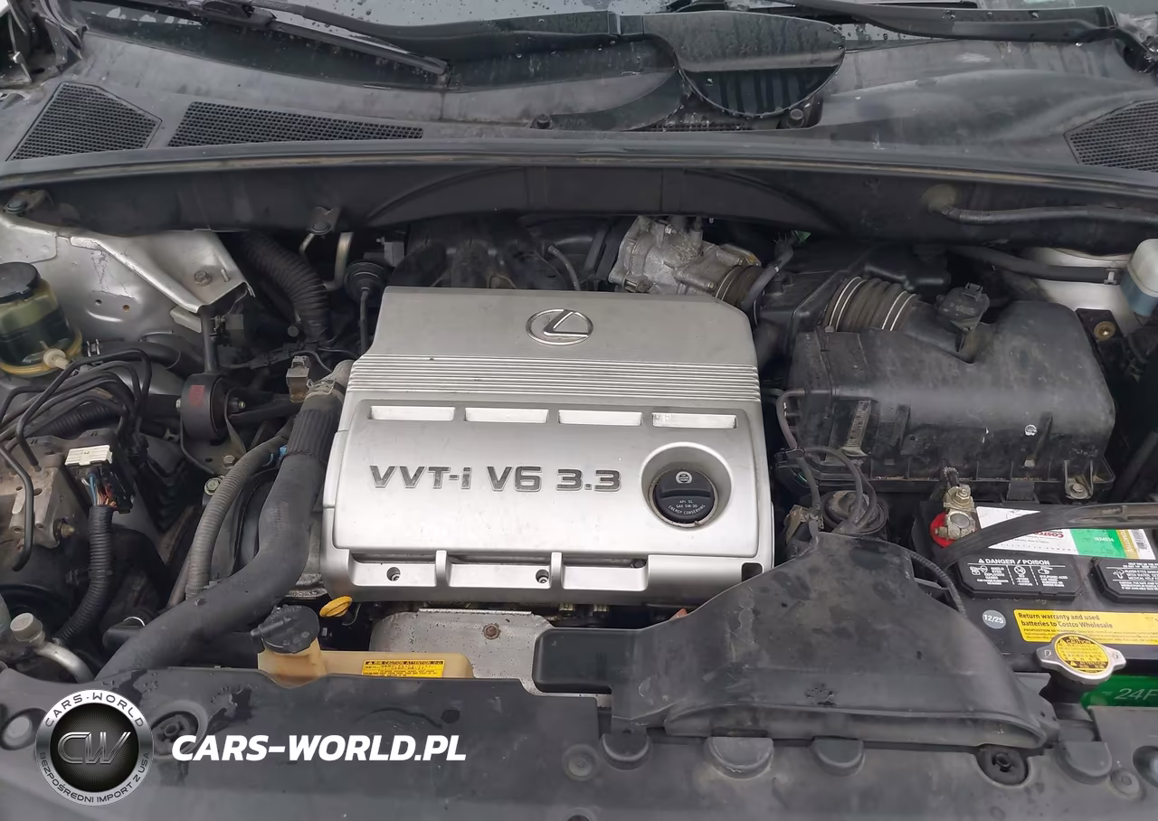 2005 Lexus Rx 330 VIN:JTJGA31U750053619 - 10
