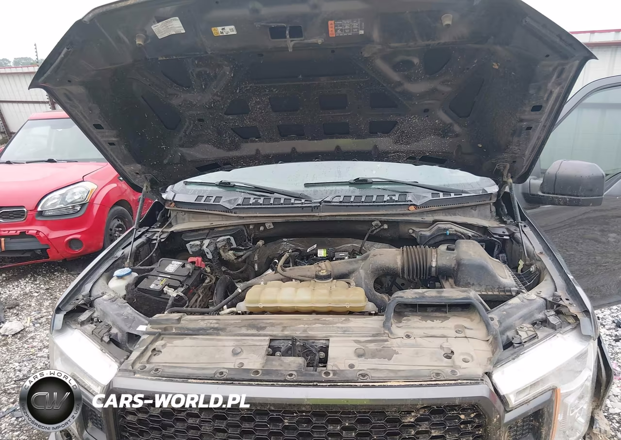 2019 Ford F-150 Xl VIN:1FTEW1EP7KKE57203 - 10