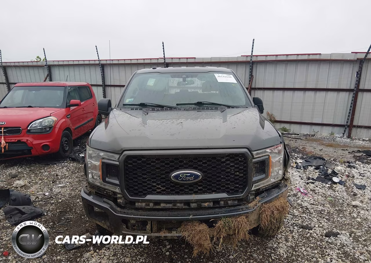 2019 Ford F-150 Xl VIN:1FTEW1EP7KKE57203 - 12
