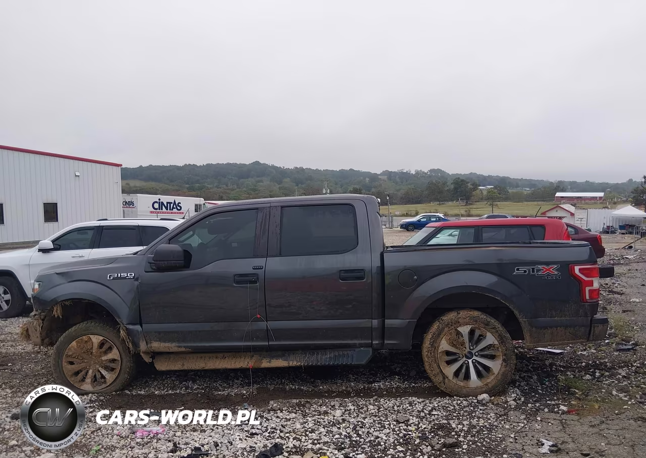2019 Ford F-150 Xl VIN:1FTEW1EP7KKE57203 - 14