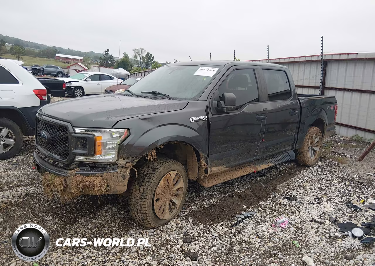 2019 Ford F-150 Xl VIN:1FTEW1EP7KKE57203 - 2