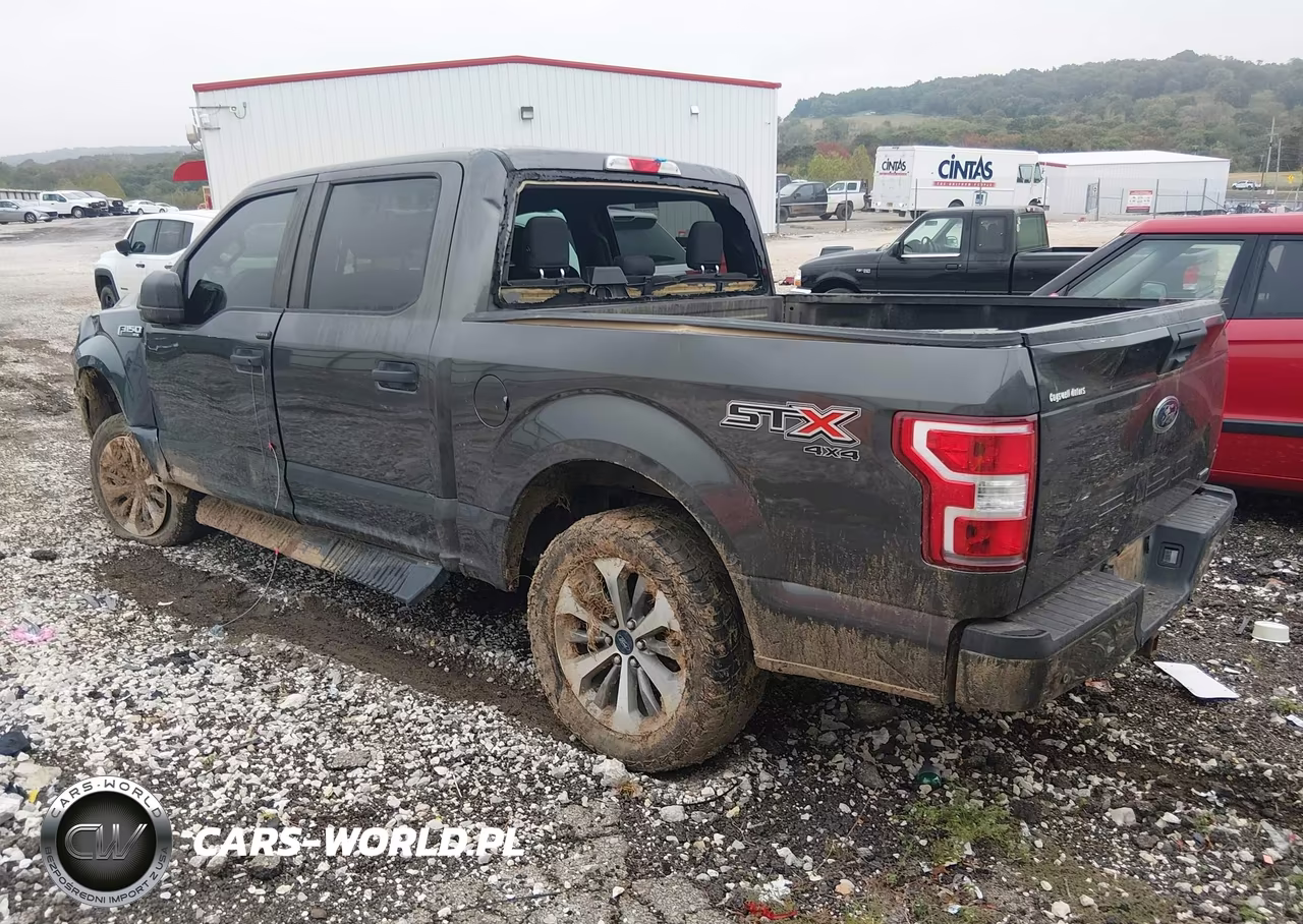 2019 Ford F-150 Xl VIN:1FTEW1EP7KKE57203 - 3