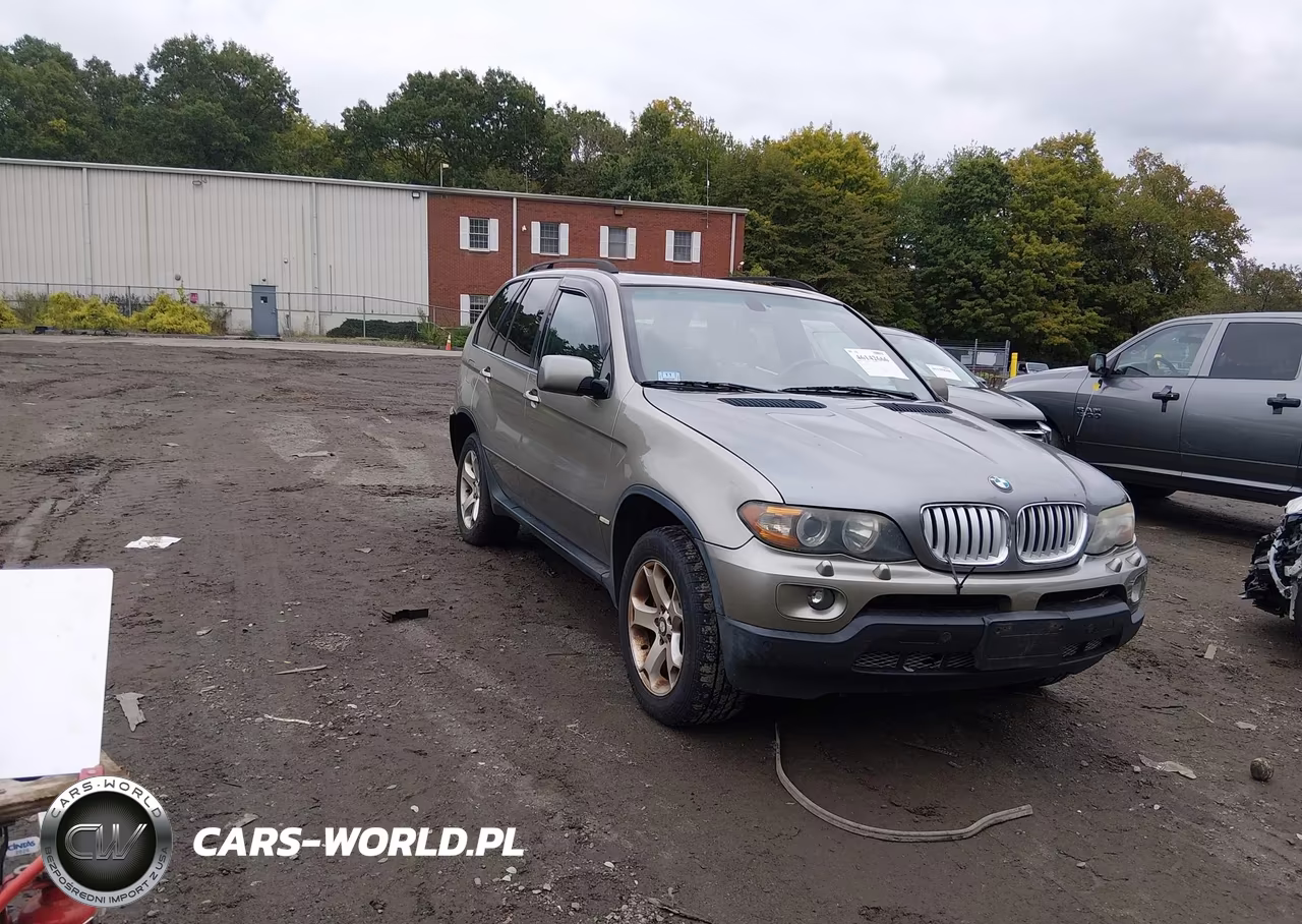 2006 BMW X5 3.0I VIN:5UXFA13506LY40760 - 1