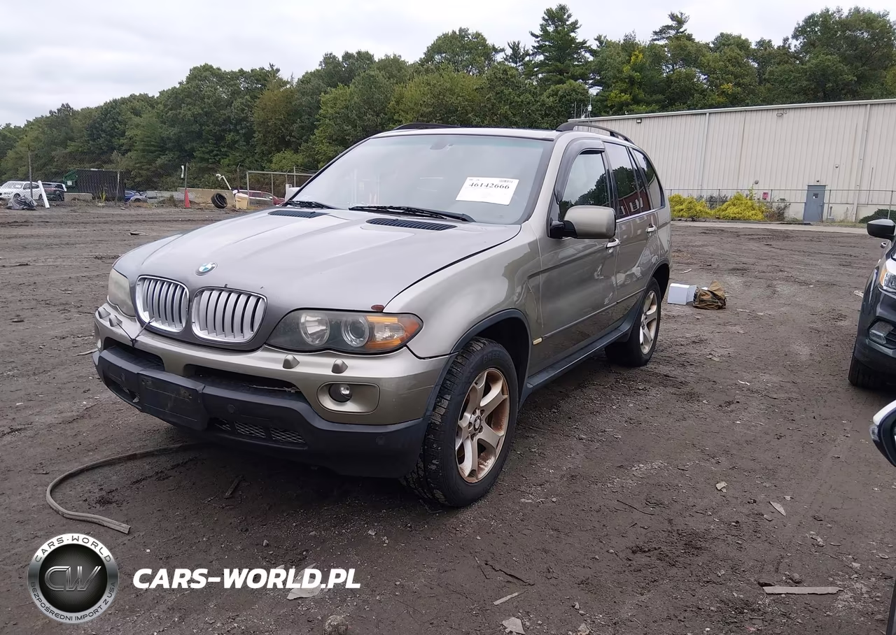 2006 BMW X5 3.0I VIN:5UXFA13506LY40760 - 2