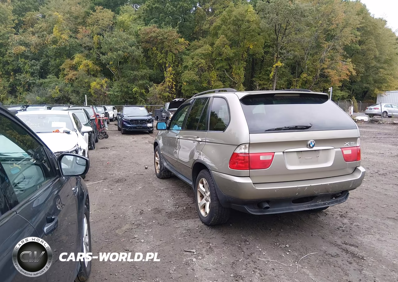 2006 BMW X5 3.0I VIN:5UXFA13506LY40760 - 3