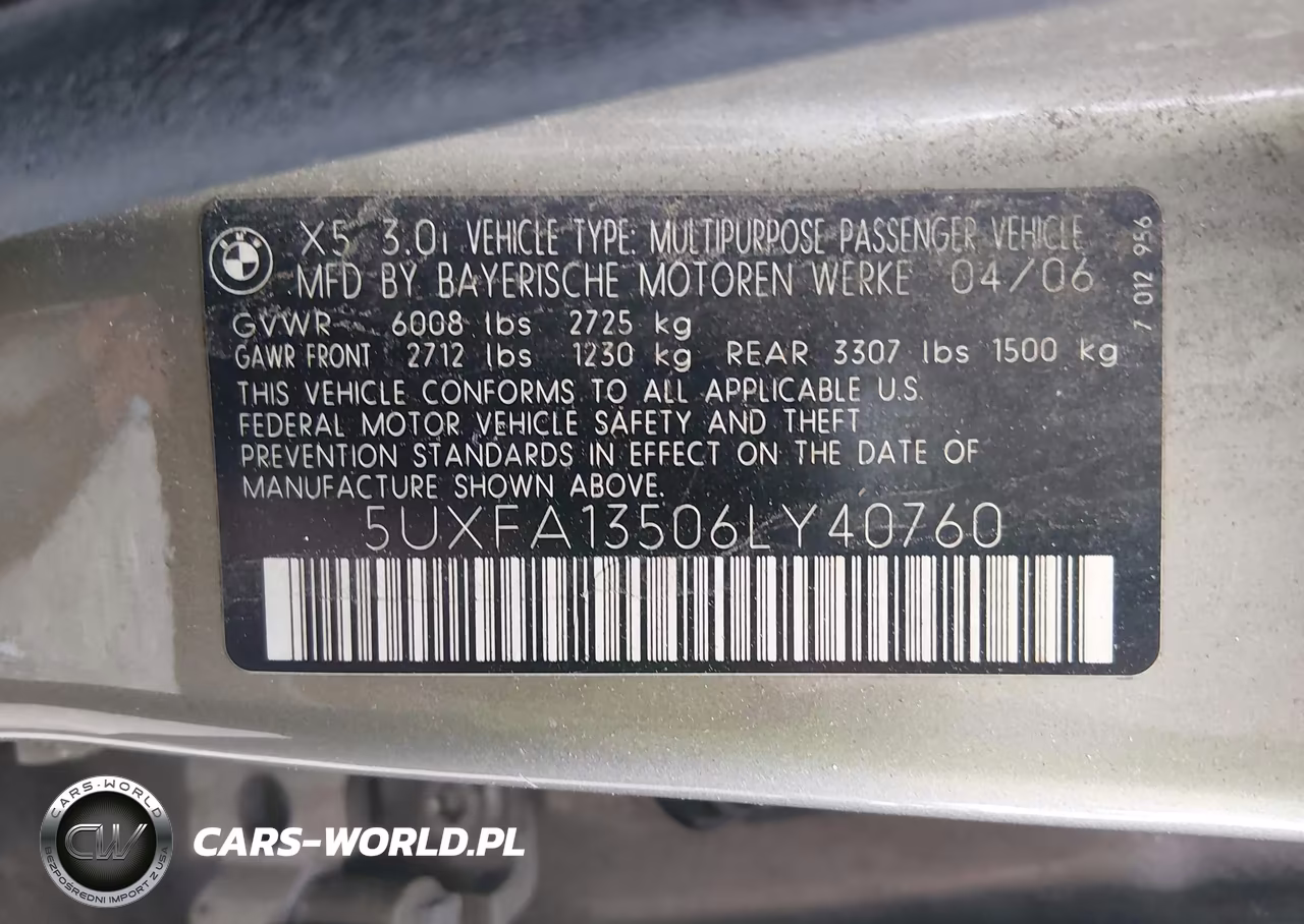 2006 BMW X5 3.0I VIN:5UXFA13506LY40760 - 9
