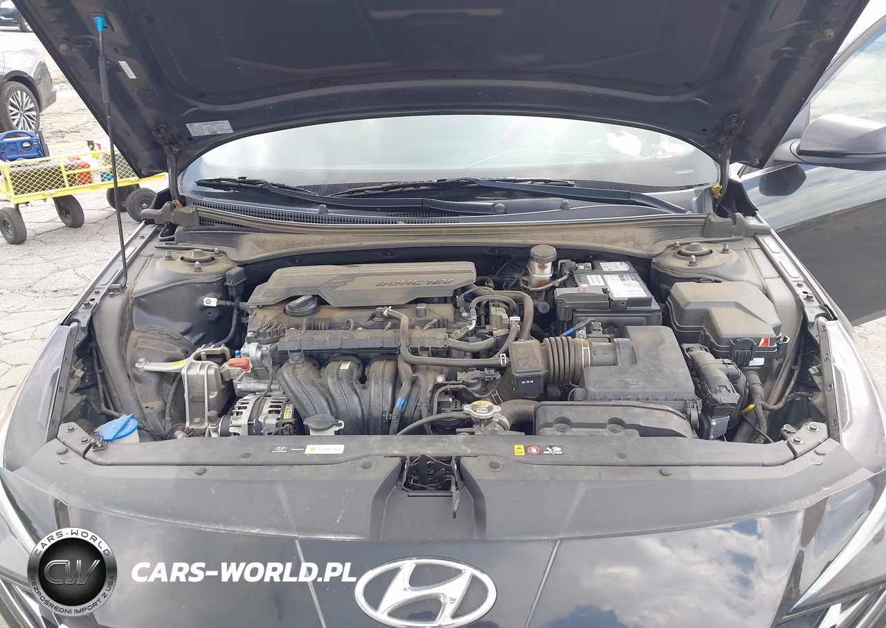 2023 Hyundai Elantra Limited VIN:KMHLP4AG0PU617635 - 10