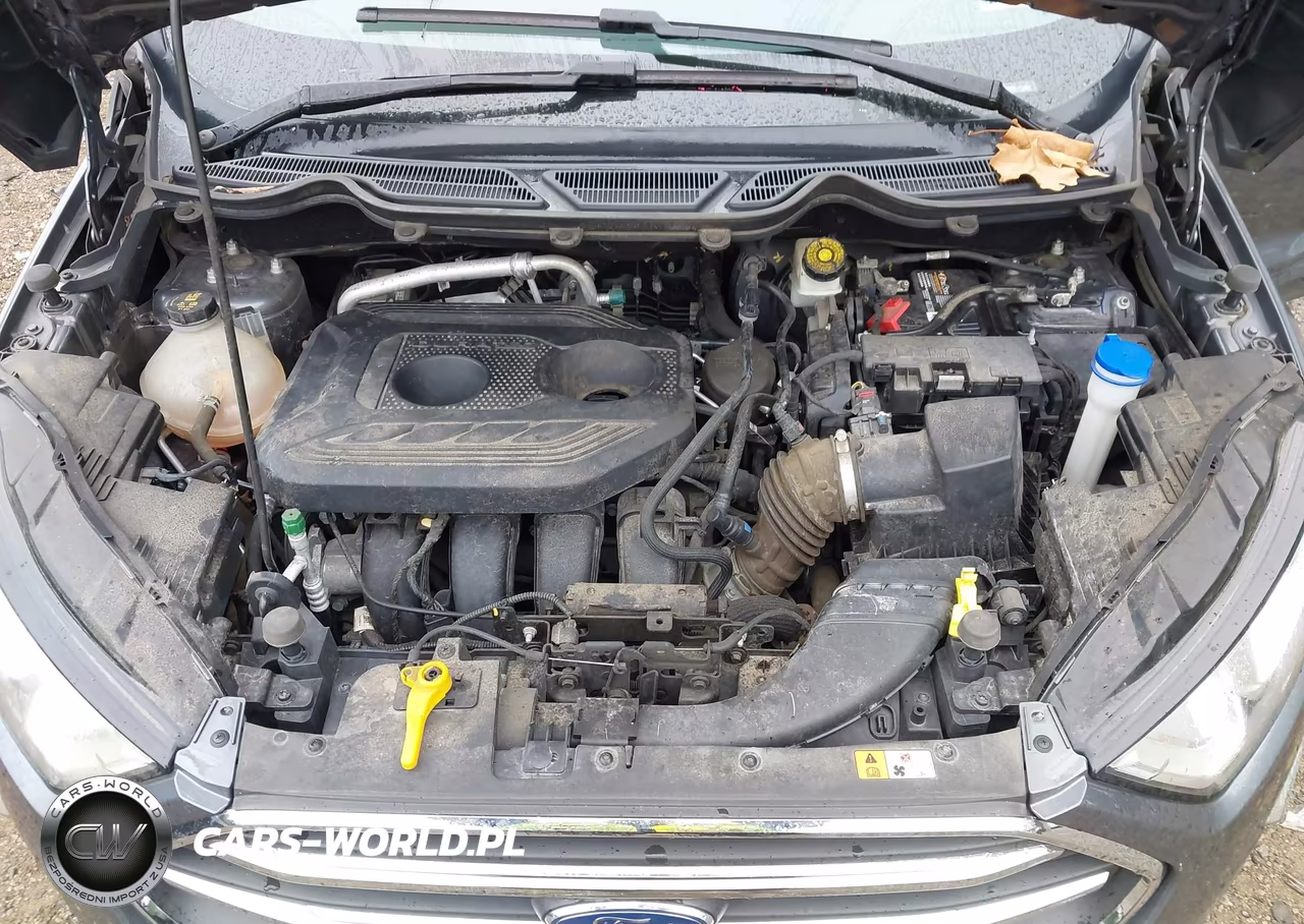 2019 Ford Ecosport Titanium VIN:MAJ6S3KL3KC294336 - 10