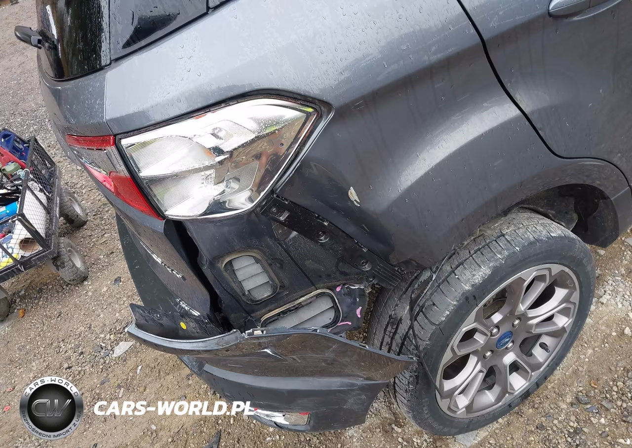 2019 Ford Ecosport Titanium VIN:MAJ6S3KL3KC294336 - 20