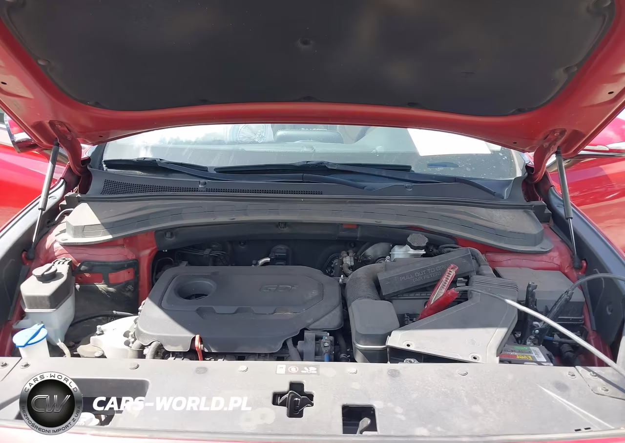2019 Hyundai Santa Fe Limited VIN:5NMS53AD9KH028797 - 10