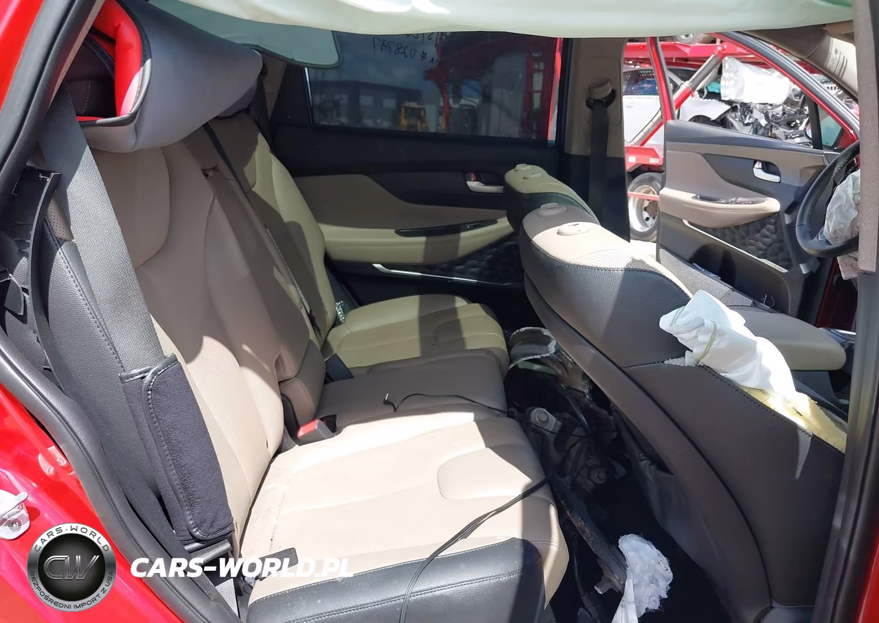 2019 Hyundai Santa Fe Limited VIN:5NMS53AD9KH028797 - 8