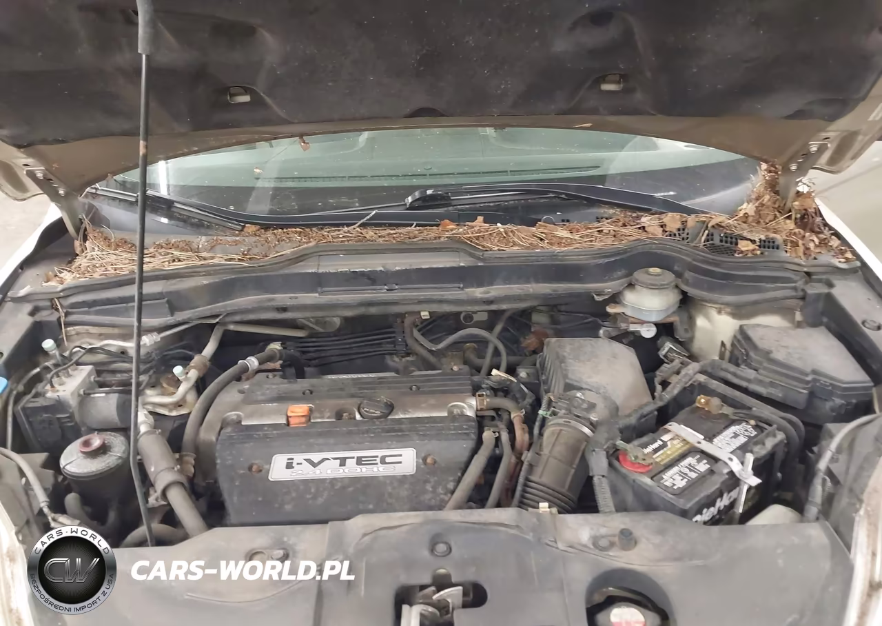 2007 Honda Cr-V Lx VIN:JHLRE48367C036155 - 10