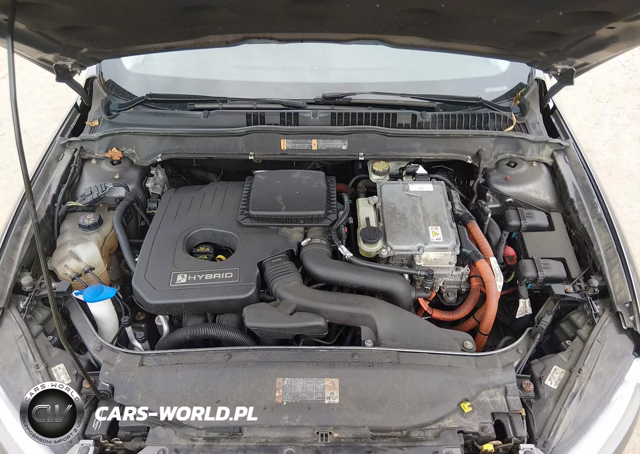 2014 Ford Fusion Hybrid Se VIN:3FA6P0LU5ER303115 - 10