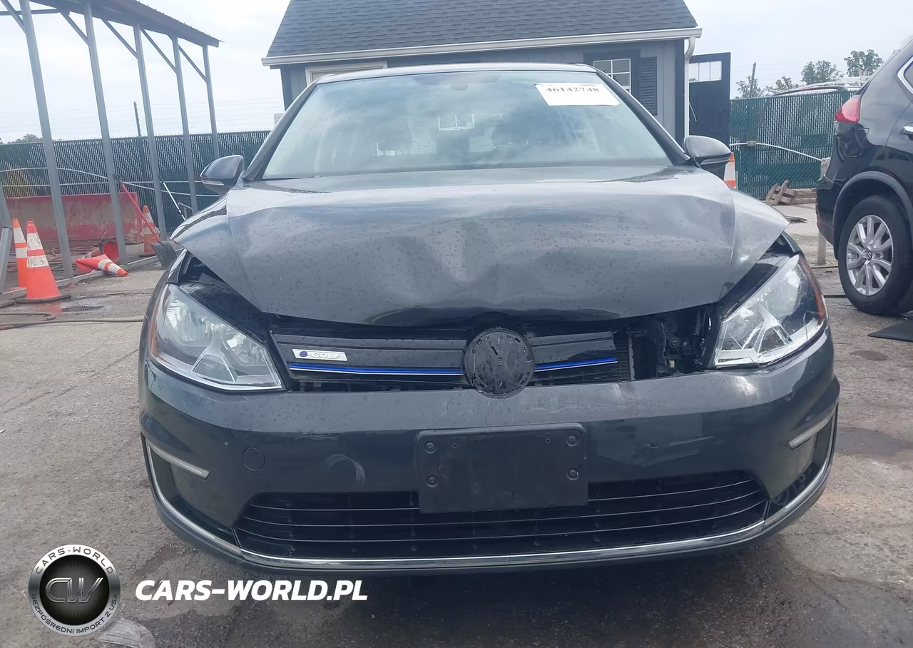 2016 Volkswagen E-Golf Se VIN:WVWKP7AU7GW900089 - 14