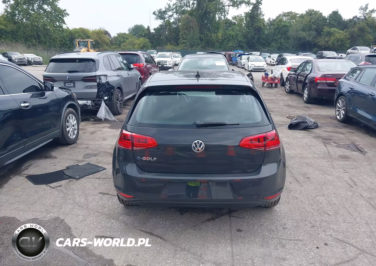 2016 Volkswagen E-Golf Se VIN:WVWKP7AU7GW900089 - 17