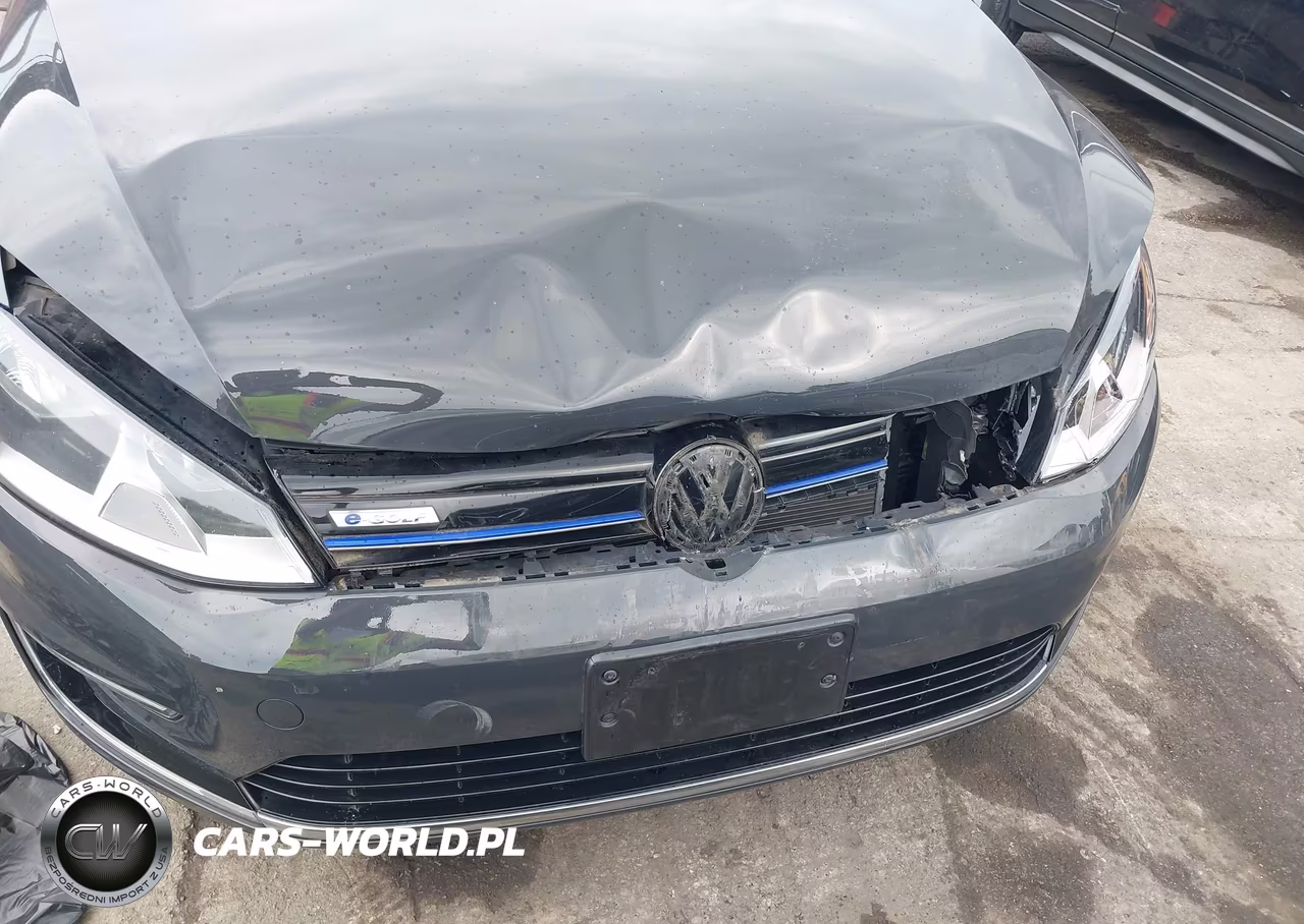2016 Volkswagen E-Golf Se VIN:WVWKP7AU7GW900089 - 6