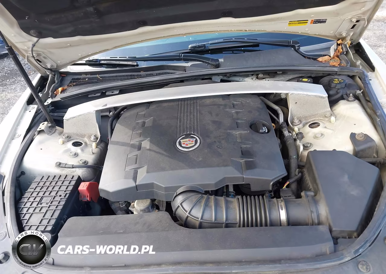 2011 Cadillac Cts Premium VIN:1G6DS5ED7B0119156 - 10
