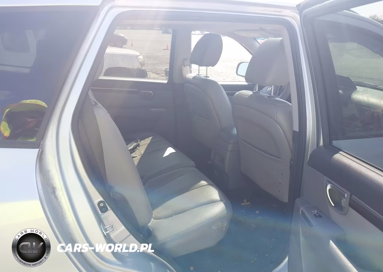 2010 Hyundai Santa Fe Gls VIN:5NMSG3AB8AH404963 - 8