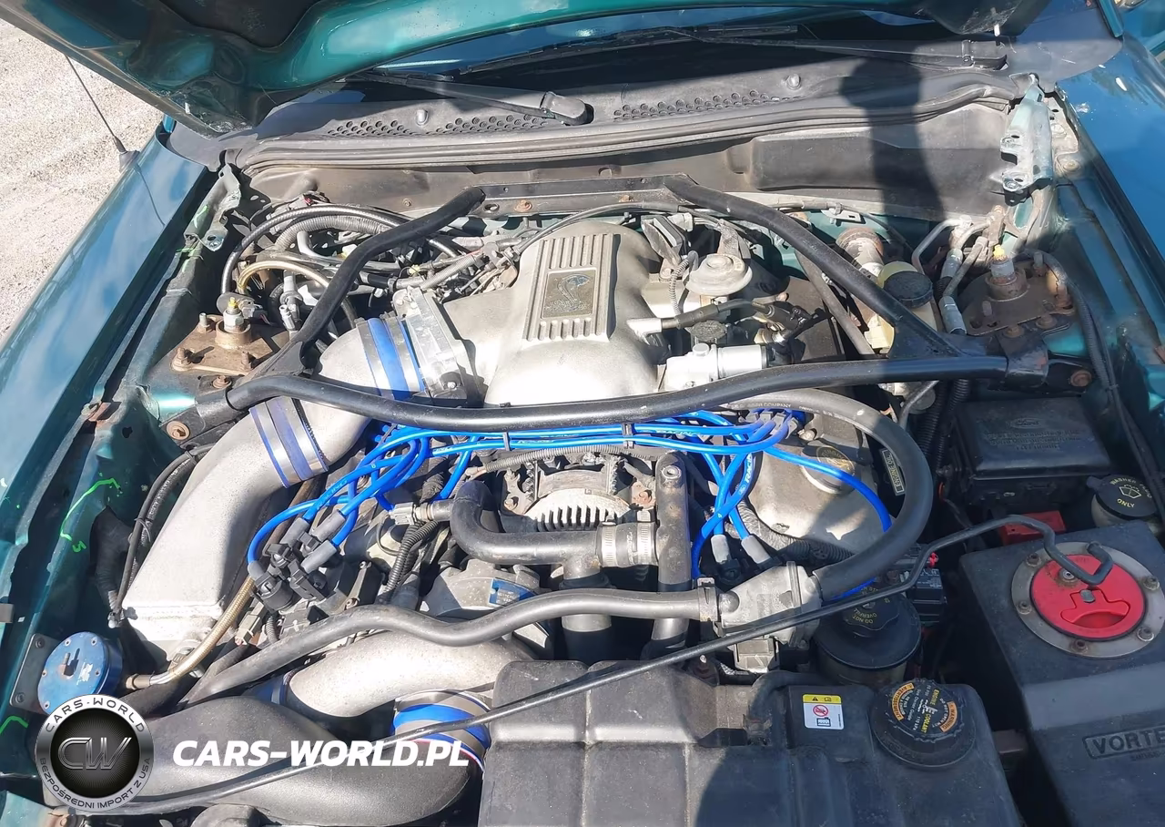1997 Ford Mustang Cobra VIN:1FALP47V6VF204894 - 10