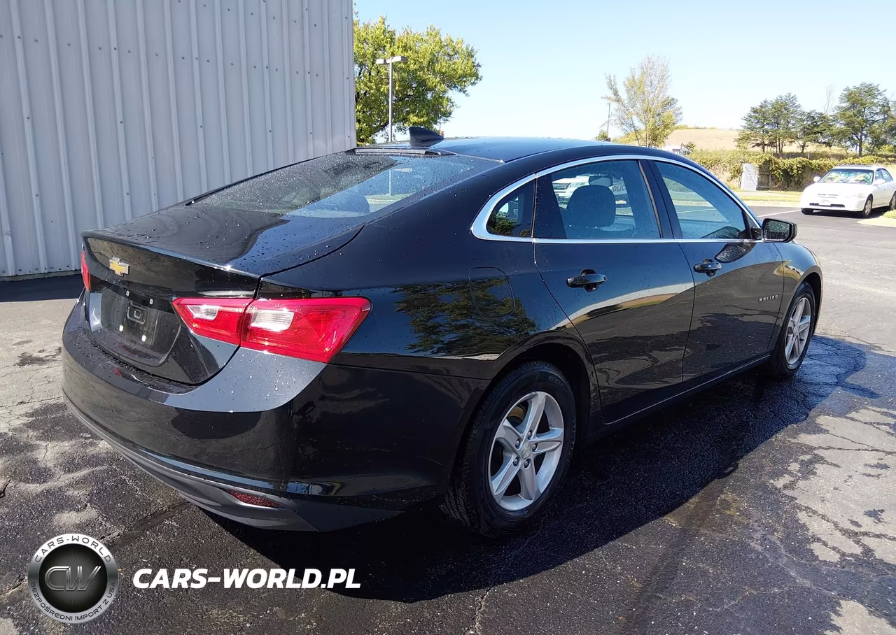2020 Chevrolet Malibu Fwd 1Fl VIN:1G1ZC5ST4LF150609 - 4