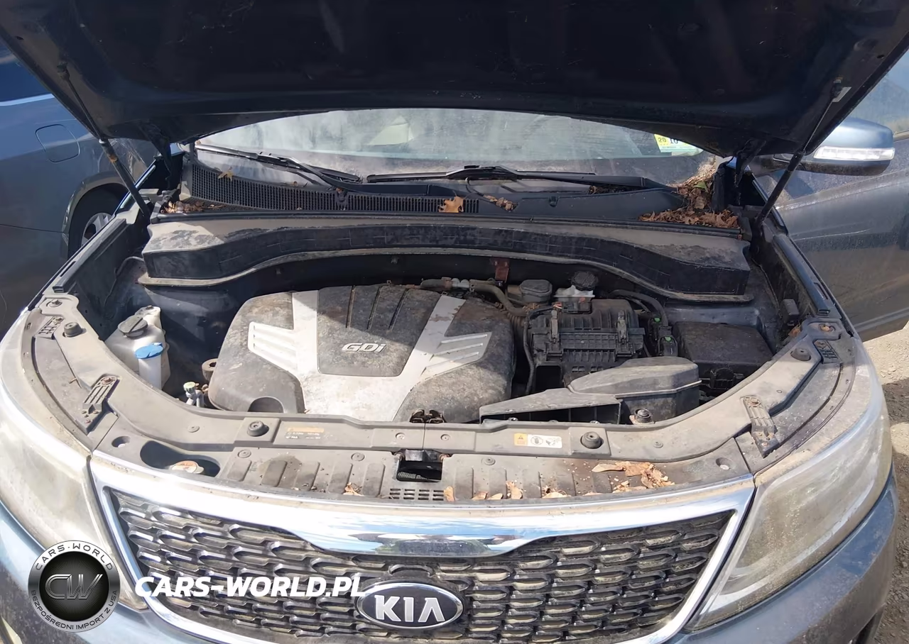 2014 Kia Sorento Ex V6 VIN:5XYKUDA73EG480293 - 10