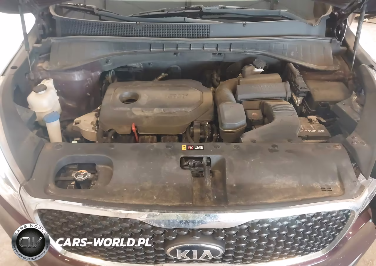 2018 Kia Sorento 2.4L Lx VIN:5XYPGDA32JG430909 - 10