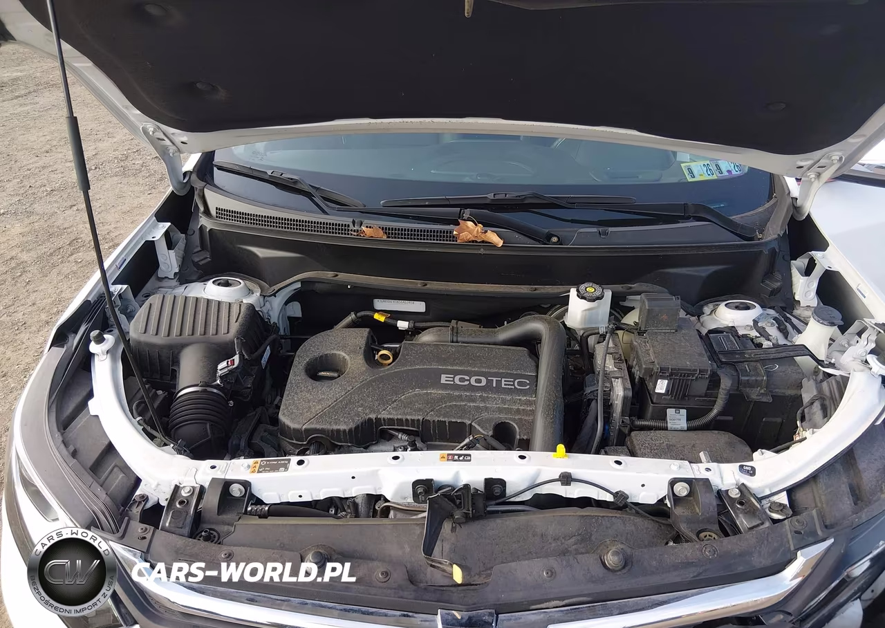 2019 Chevrolet Equinox Premier VIN:3GNAXXEV1KS646745 - 10