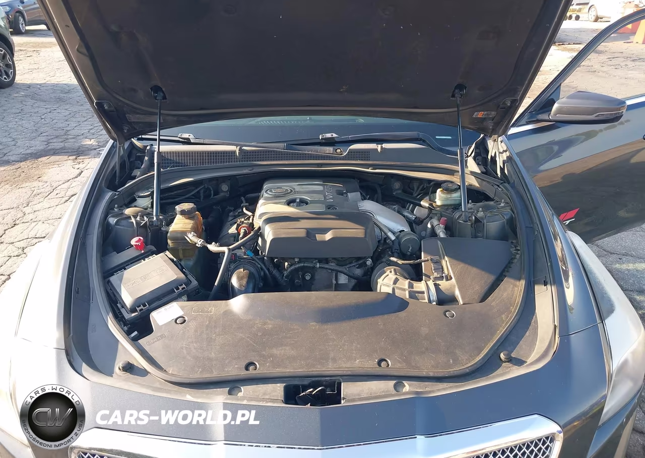2014 Cadillac Cts Standard VIN:1G6AP5SX3E0169723 - 10