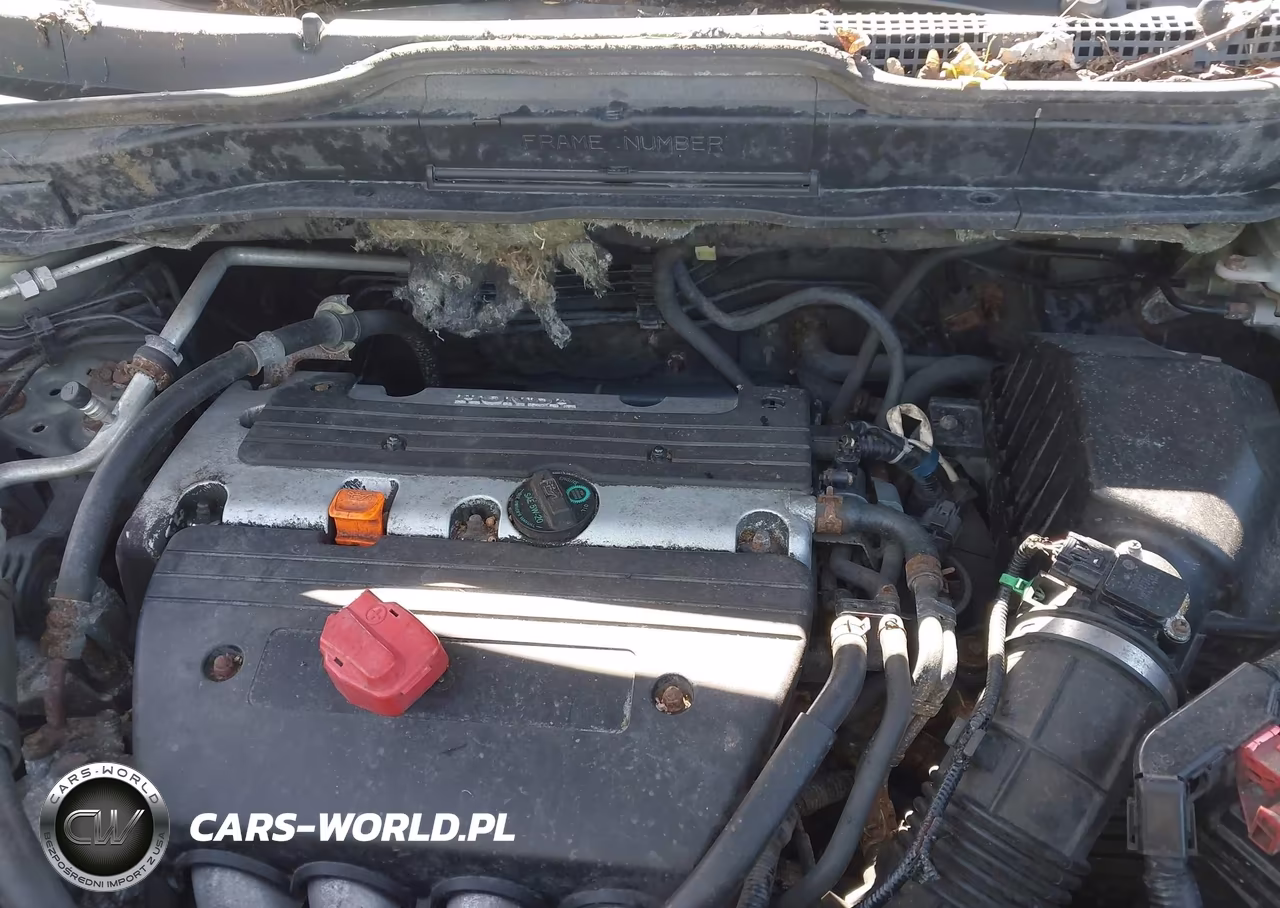 2009 Honda Cr-V Ex-L VIN:5J6RE48749L058152 - 10