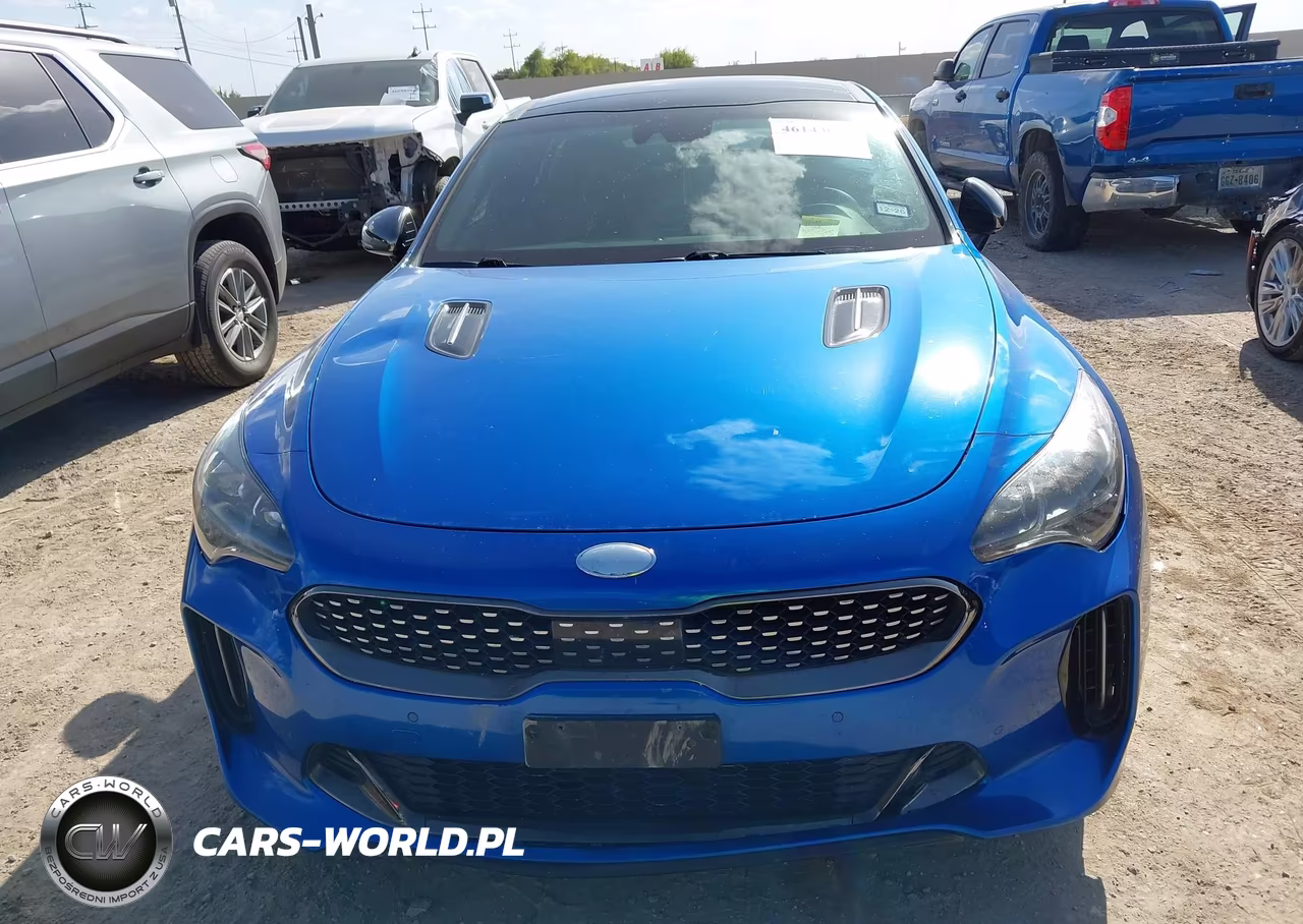 2019 Kia Stinger Gt1 VIN:KNAE45LC8K6055404 - 12