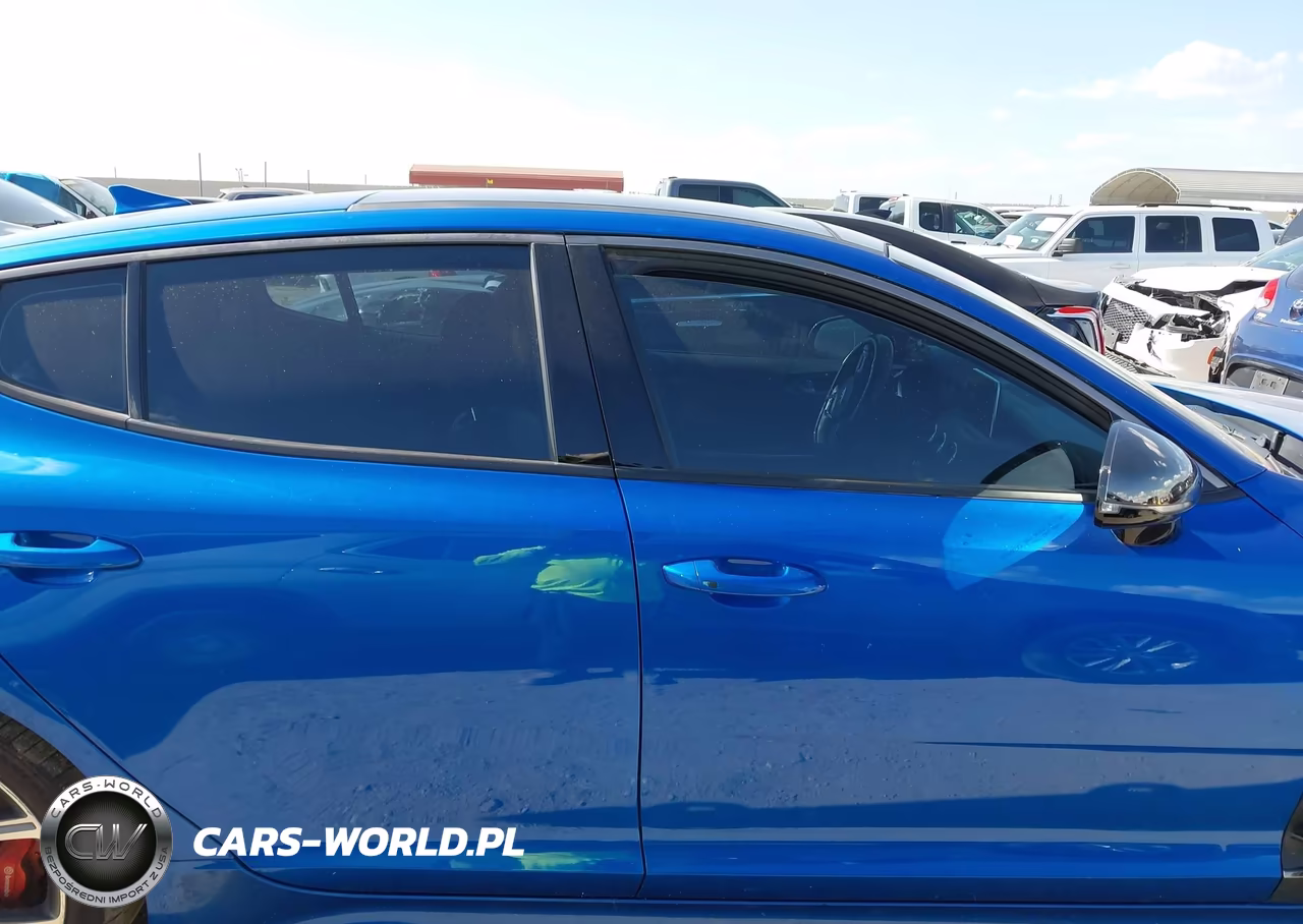 2019 Kia Stinger Gt1 VIN:KNAE45LC8K6055404 - 13