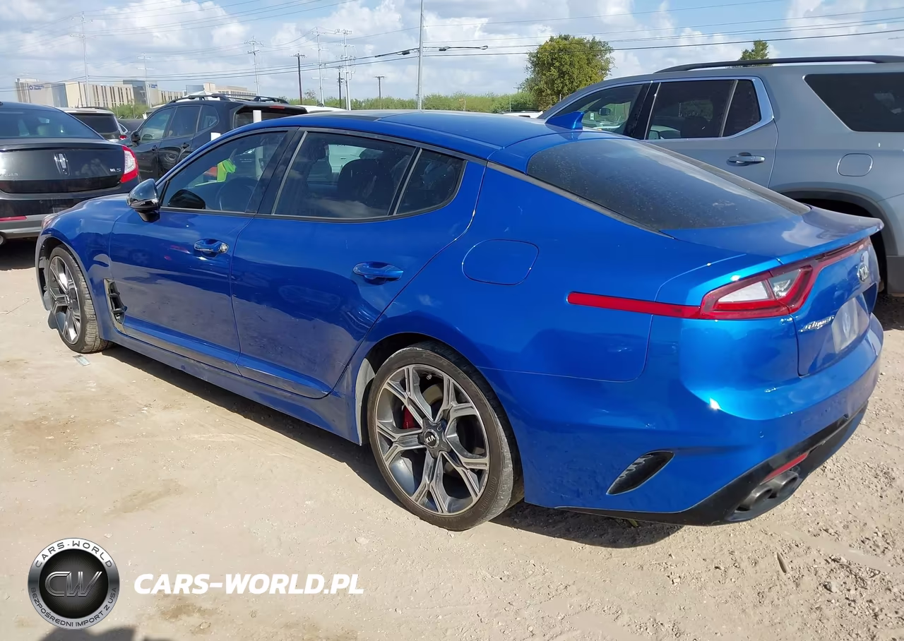 2019 Kia Stinger Gt1 VIN:KNAE45LC8K6055404 - 3