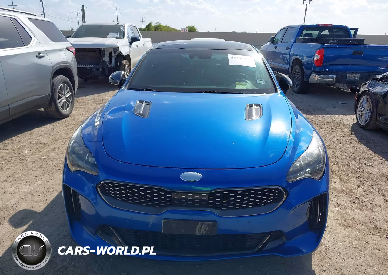 2019 Kia Stinger Gt1 VIN:KNAE45LC8K6055404 - 6