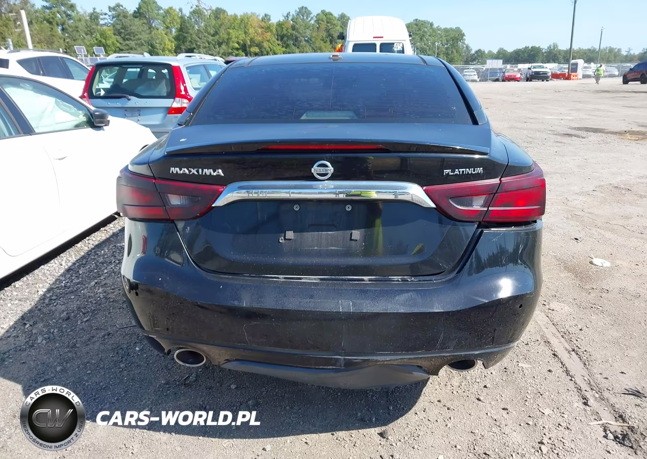 2016 Nissan Maxima 3.5 Platinum VIN:1N4AA6AP3GC377047 - 16