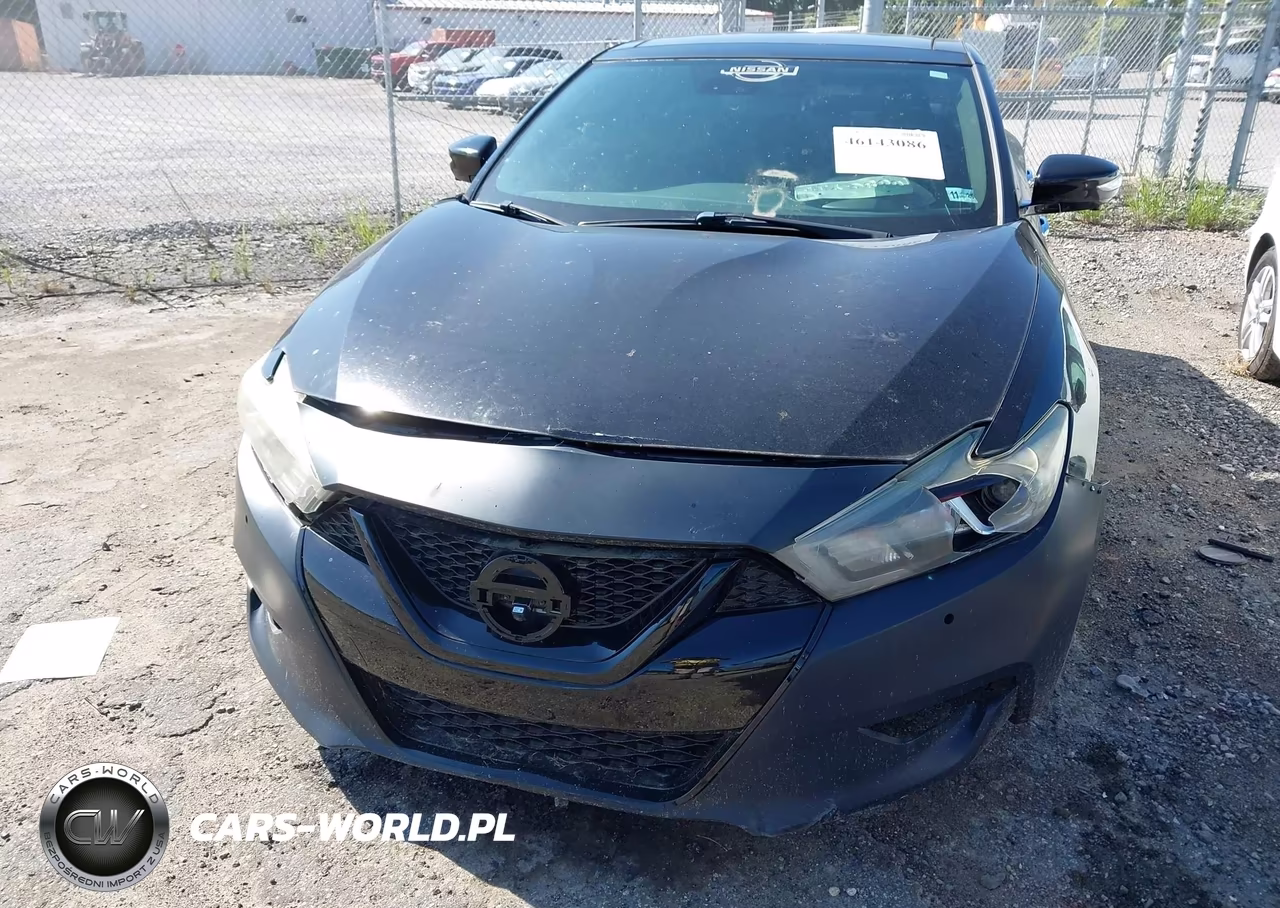 2016 Nissan Maxima 3.5 Platinum VIN:1N4AA6AP3GC377047 - 6