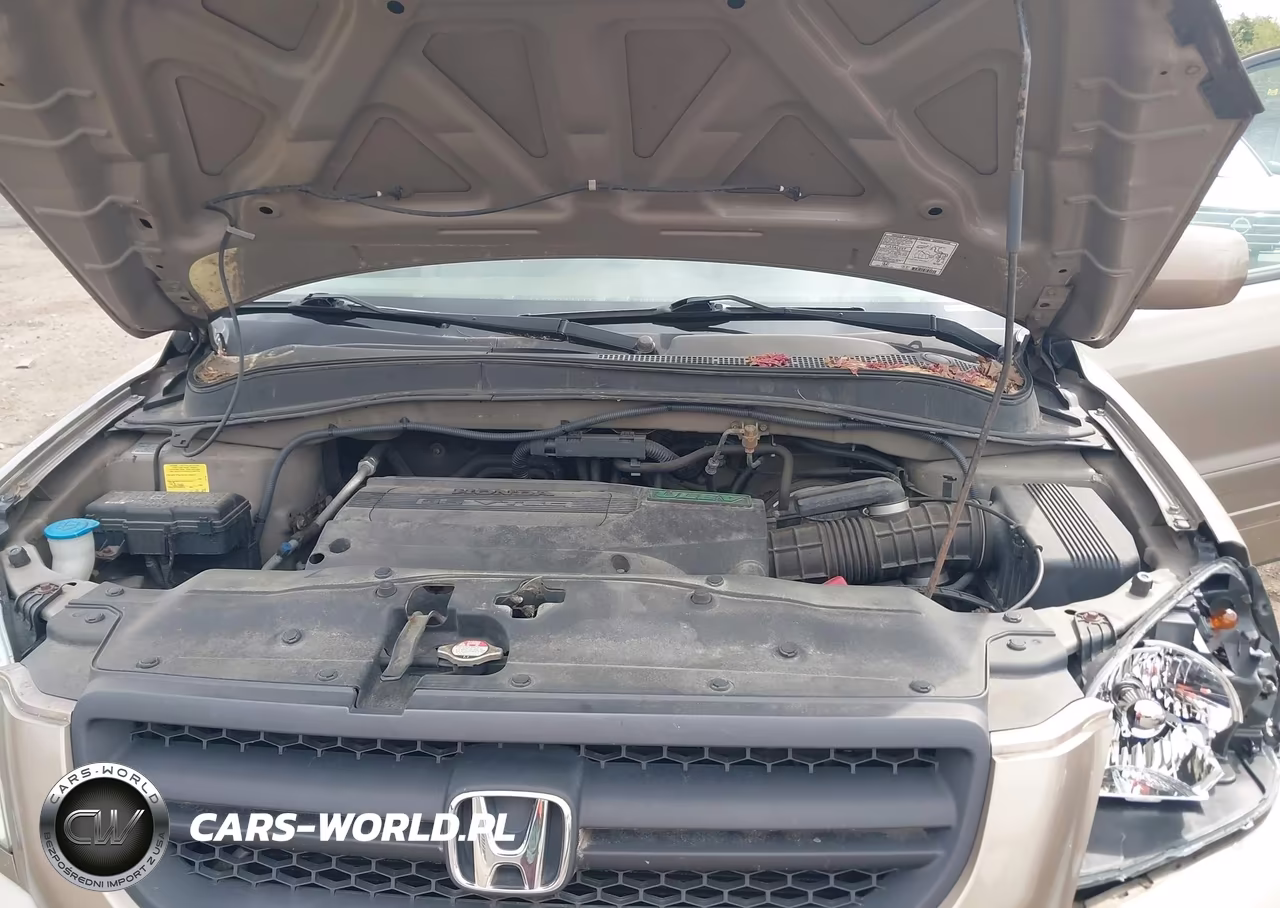 2004 Honda Pilot Ex VIN:2HKYF18414H567342 - 10