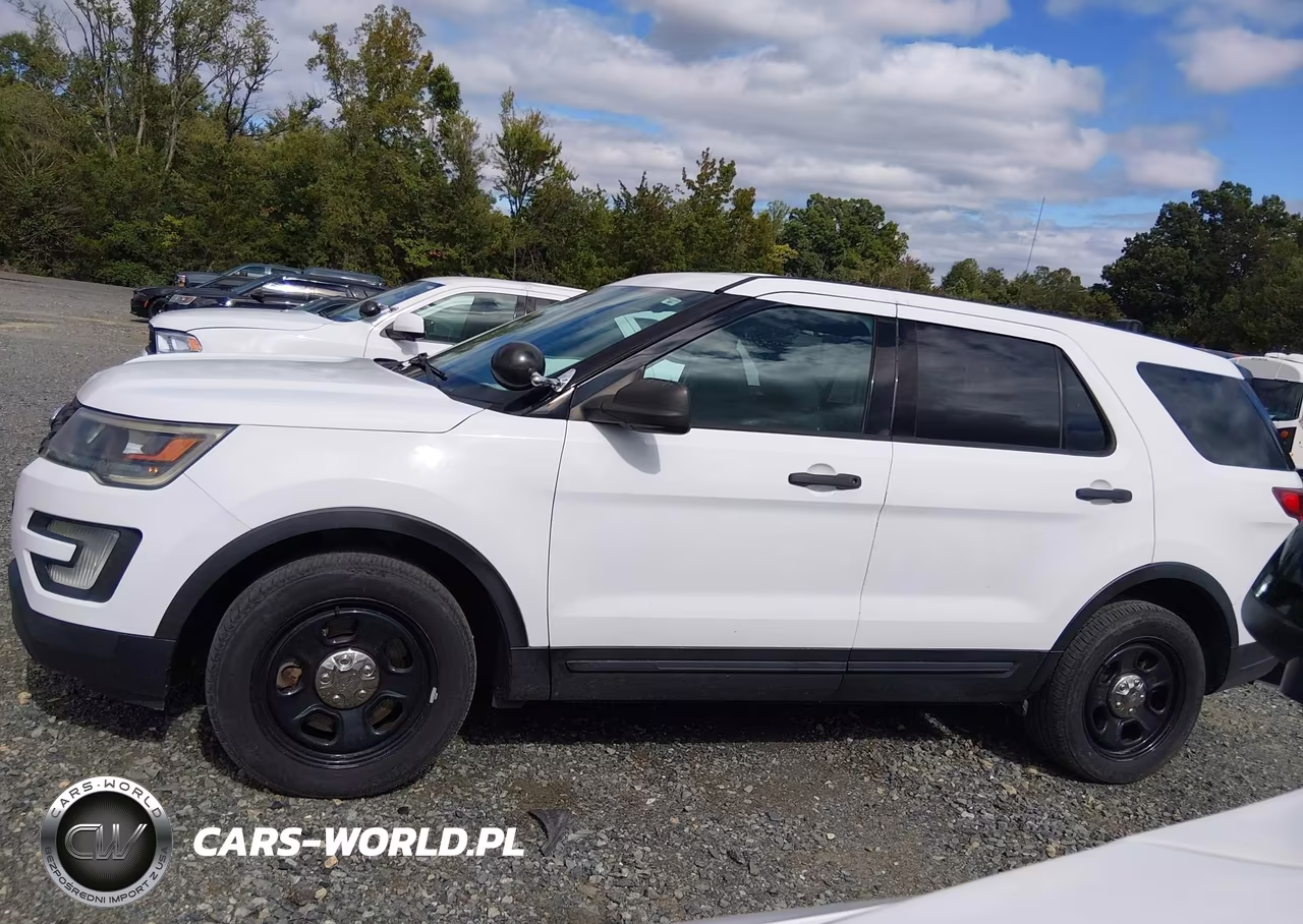 2018 Ford Police Interceptor Utility VIN:1FM5K8ARXJGC56534 - 17