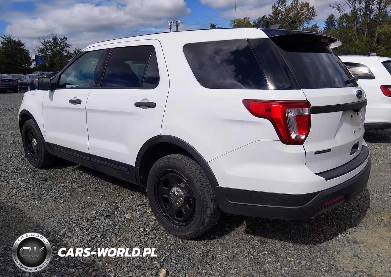 2018 Ford Police Interceptor Utility VIN:1FM5K8ARXJGC56534 - 3