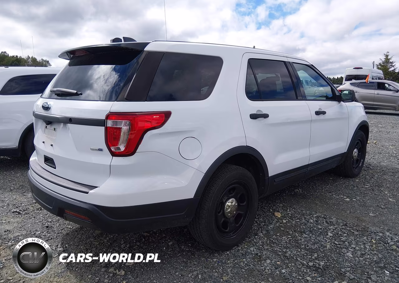 2018 Ford Police Interceptor Utility VIN:1FM5K8ARXJGC56534 - 4