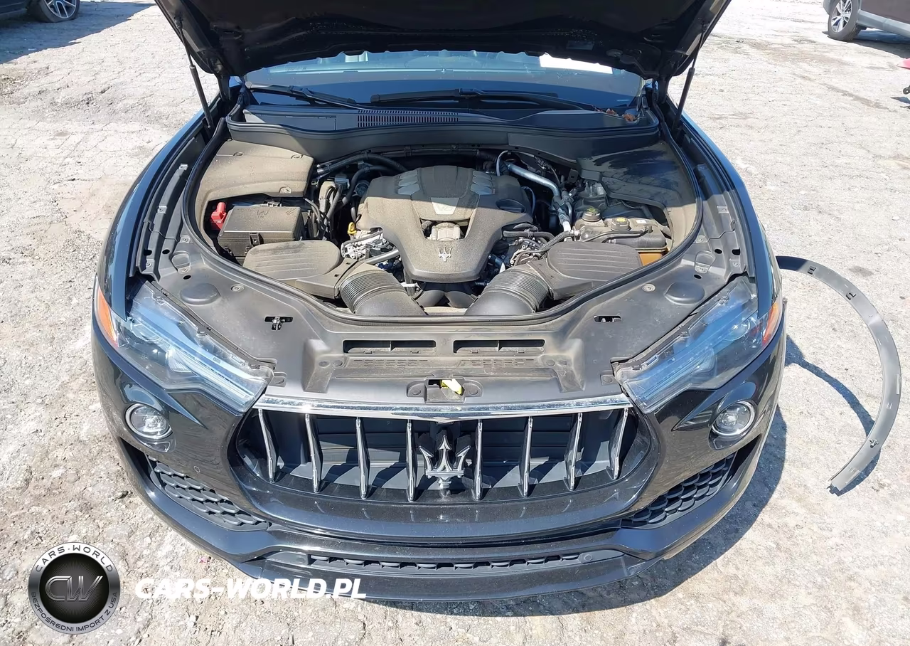 2019 Maserati Levante VIN:ZN661XUA8KX308352 - 10