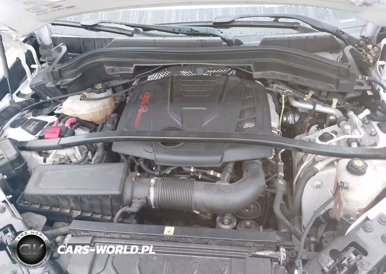 2019 Alfa Romeo Stelvio Rwd VIN:ZASPAJAN3K7C35456 - 10