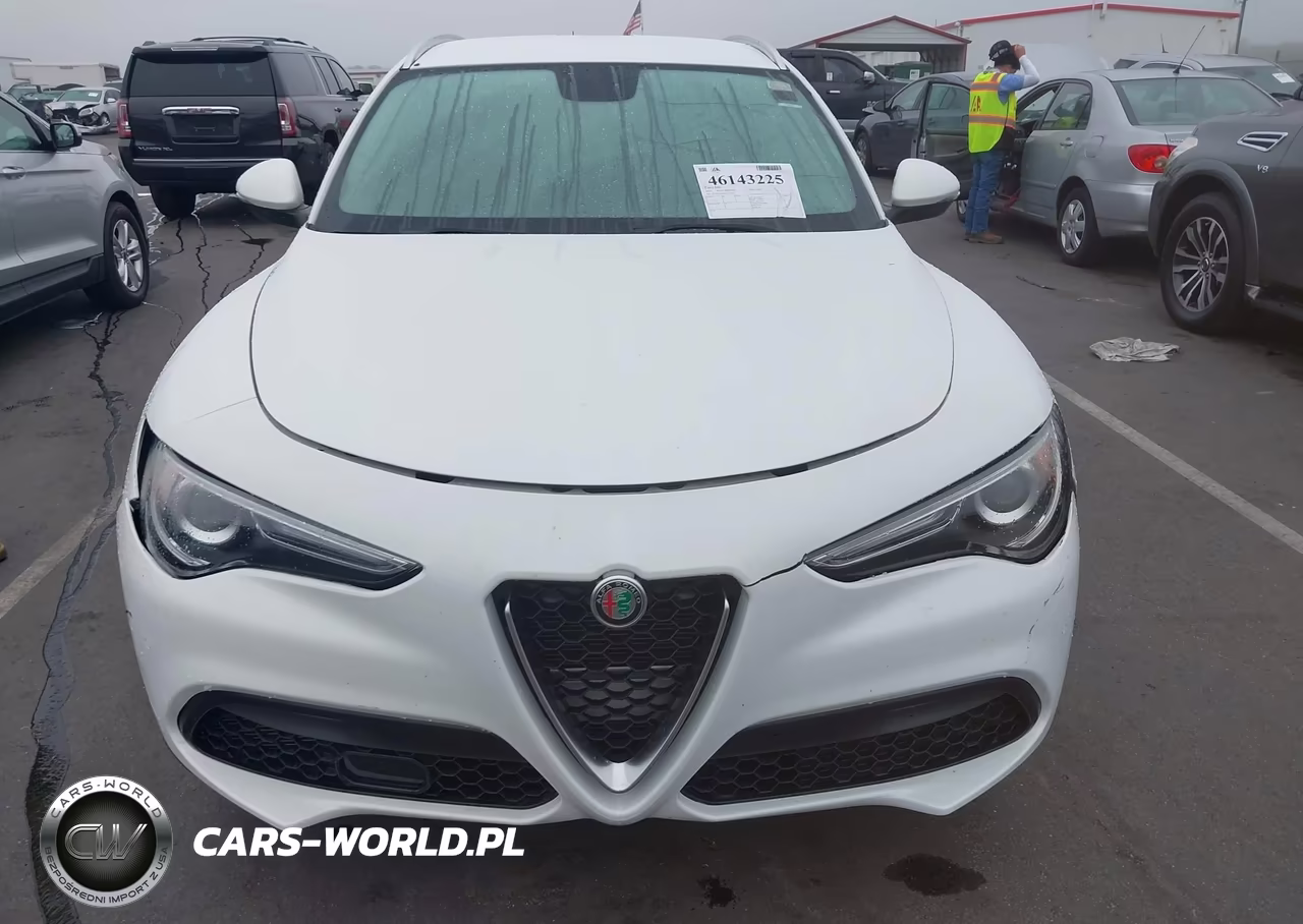 2019 Alfa Romeo Stelvio Rwd VIN:ZASPAJAN3K7C35456 - 12