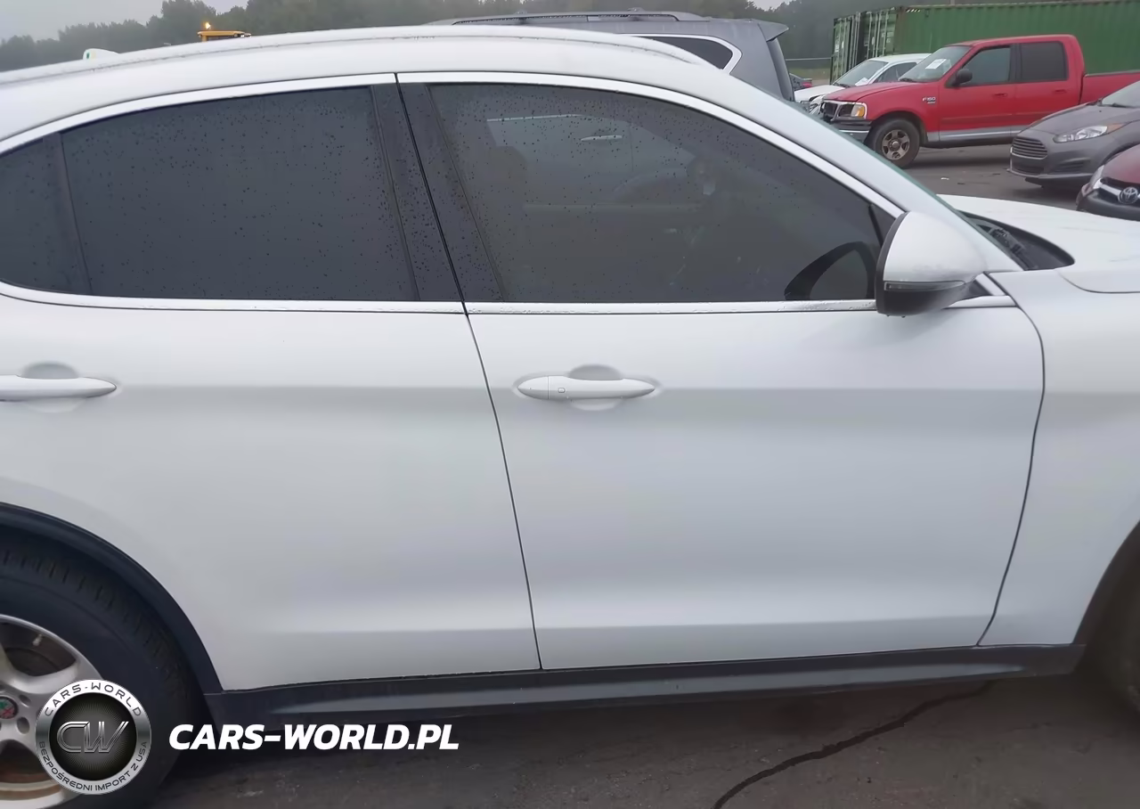 2019 Alfa Romeo Stelvio Rwd VIN:ZASPAJAN3K7C35456 - 13