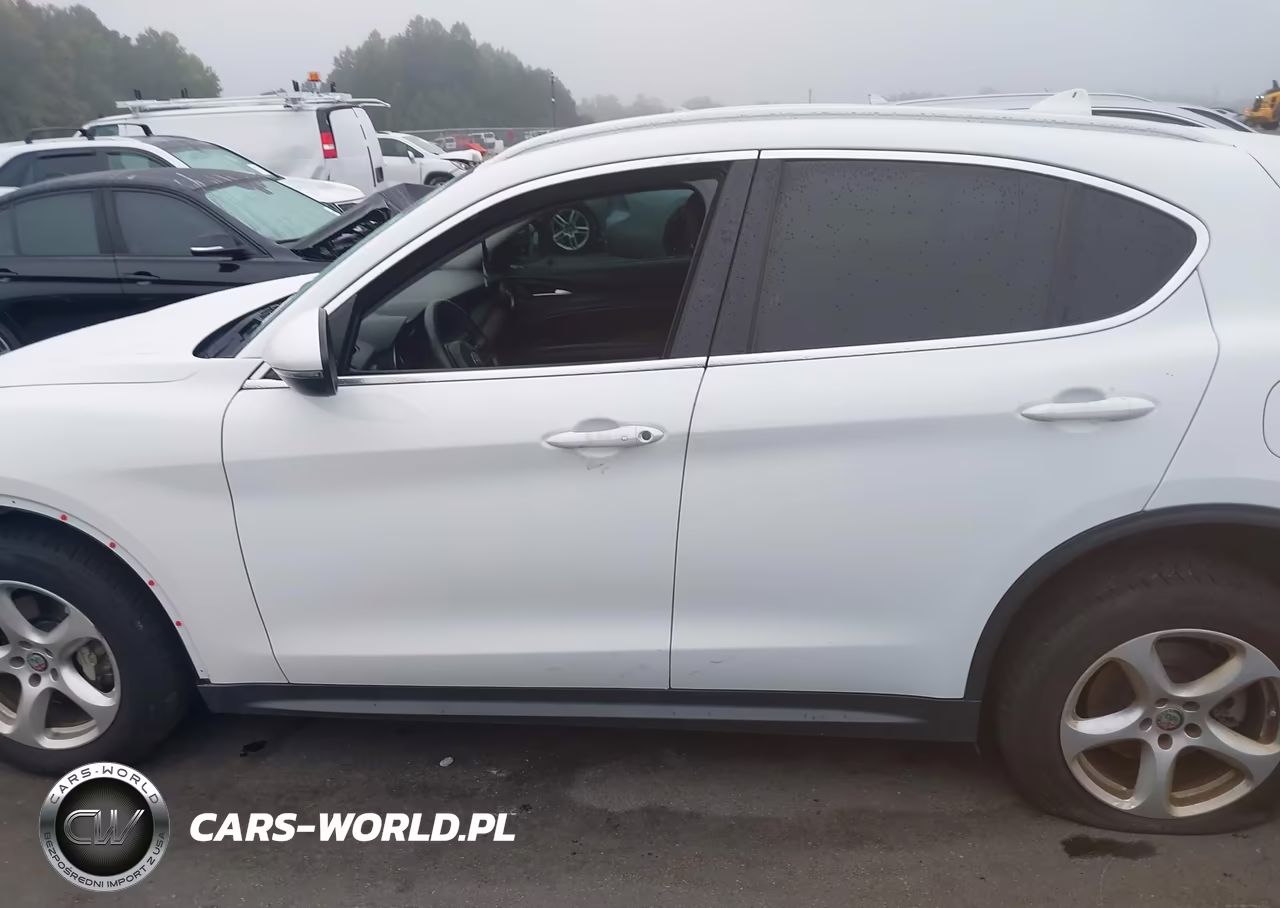 2019 Alfa Romeo Stelvio Rwd VIN:ZASPAJAN3K7C35456 - 14