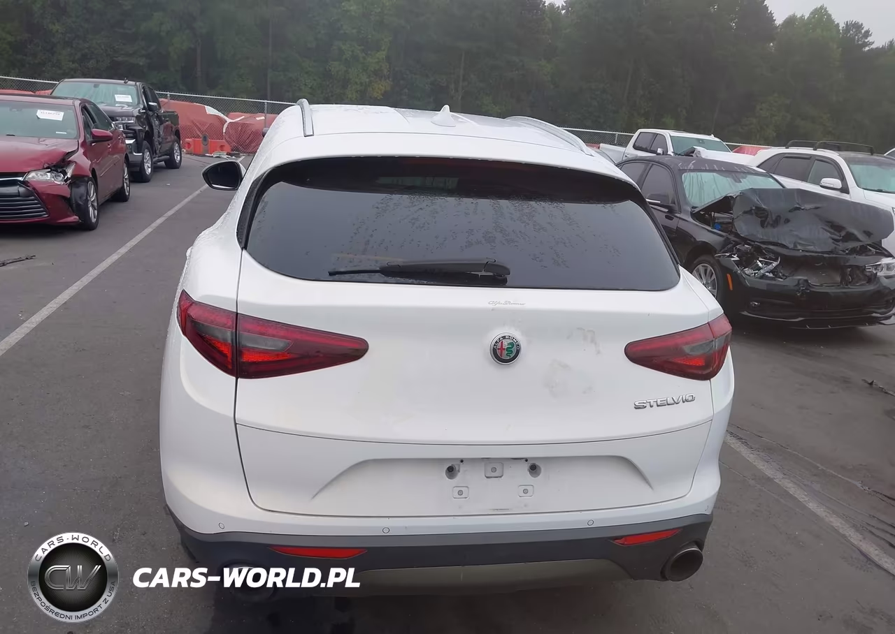 2019 Alfa Romeo Stelvio Rwd VIN:ZASPAJAN3K7C35456 - 16