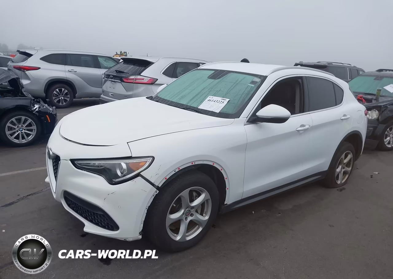 2019 Alfa Romeo Stelvio Rwd VIN:ZASPAJAN3K7C35456 - 2